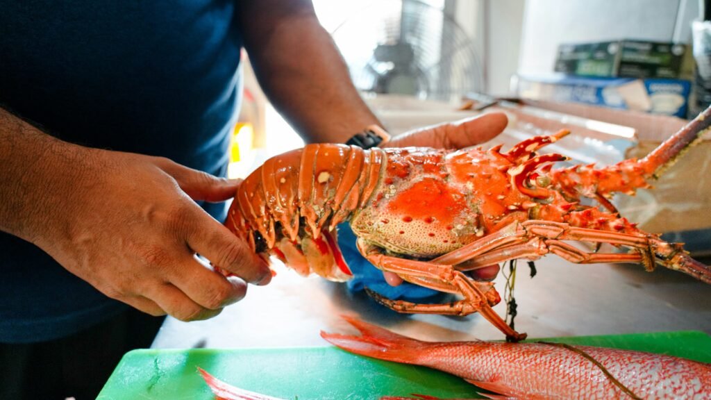 The Historical Value of the Red Lobster Restaurant Chain a person holding a lobster on a table
