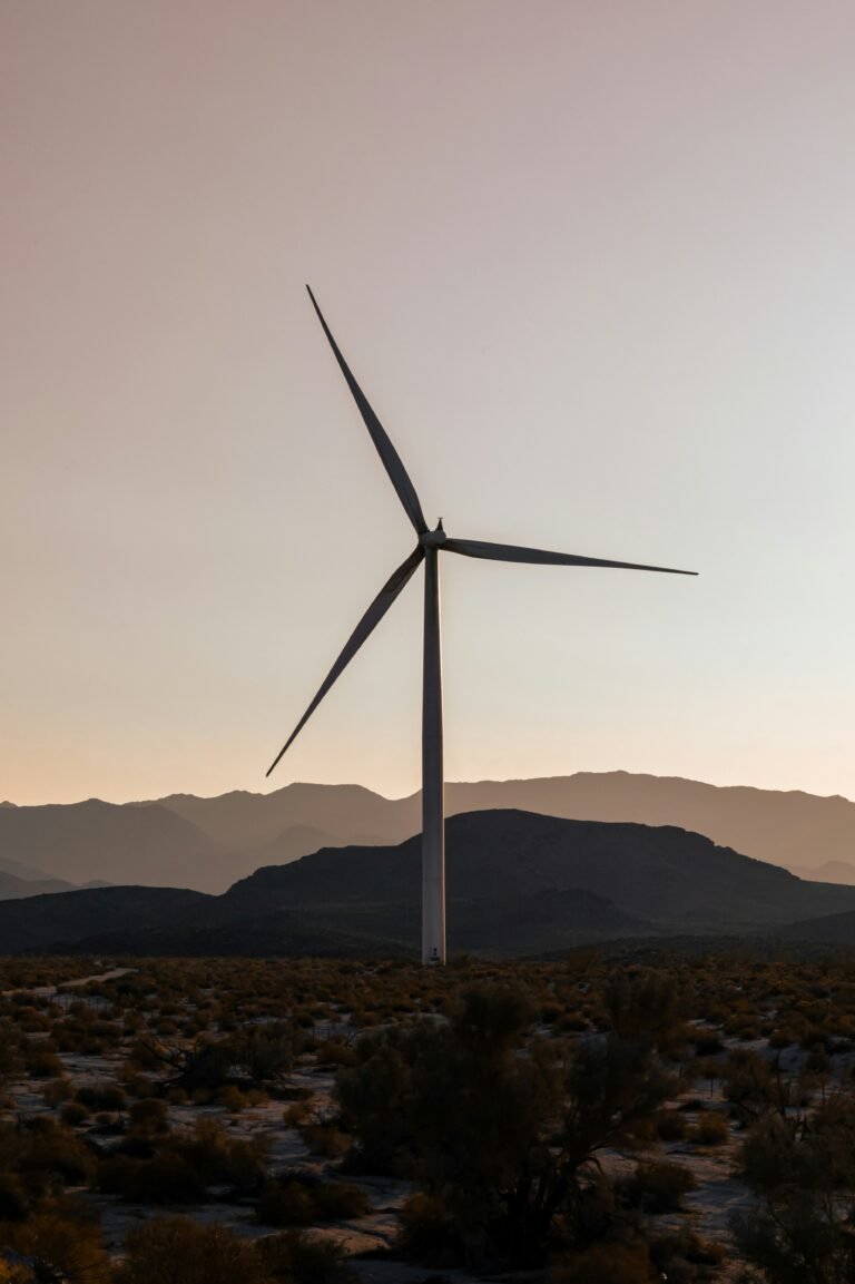 Renewable Energy Sources: An Overview a wind turbine in the middle of a desert
