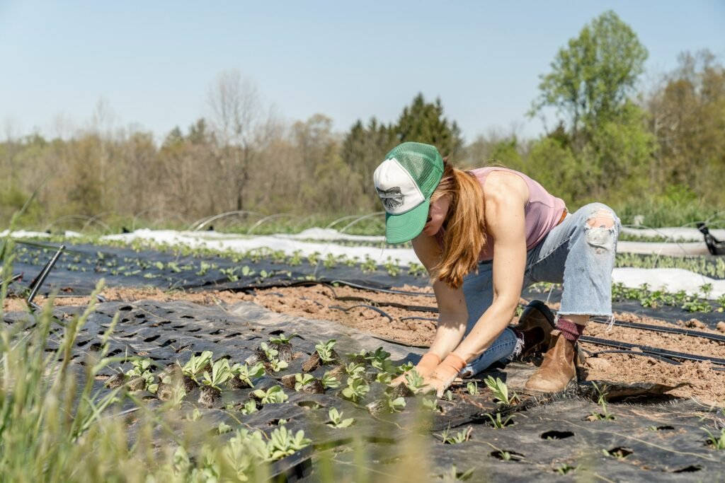 Embracing Sustainable Agriculture Practices: A Path to a Greener Future woman in pink shirt and blue denim jeans sitting on brown rock near river during daytime